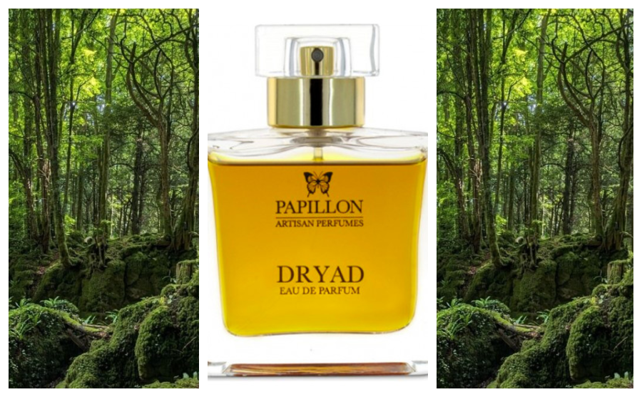 Pure Sylvan Magic: Papillon Dryad by Elizabeth Moores 2017