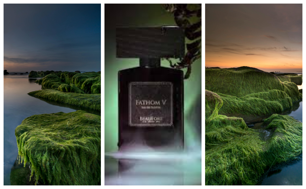 Beaufort London Fathom V: A Maritime Miracle