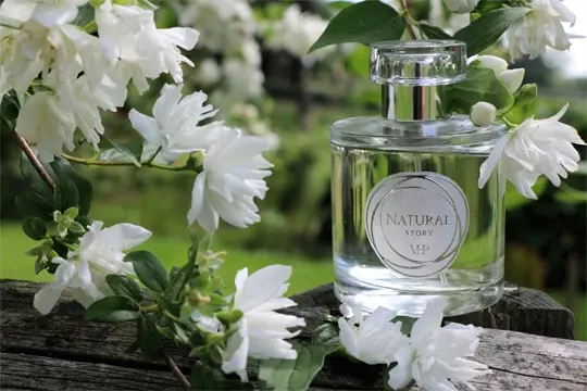 Vines House Parfum VHP image