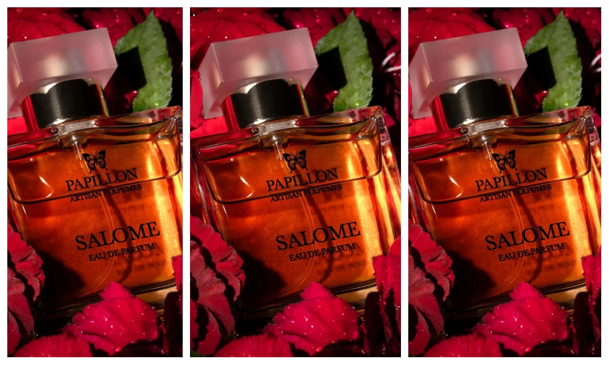 Papillon Salome header